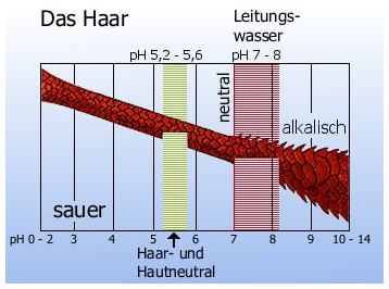 carbohair_grafik